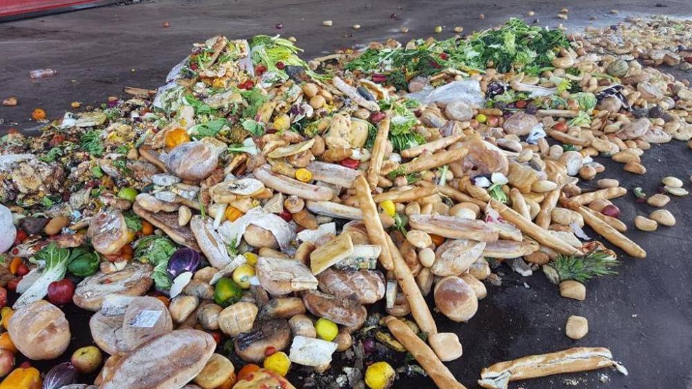 Legge Gadda sugli sprechi alimentari: due anni dopo.
